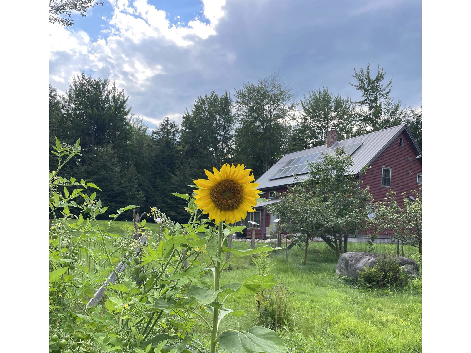 358 Tenney Hill Road