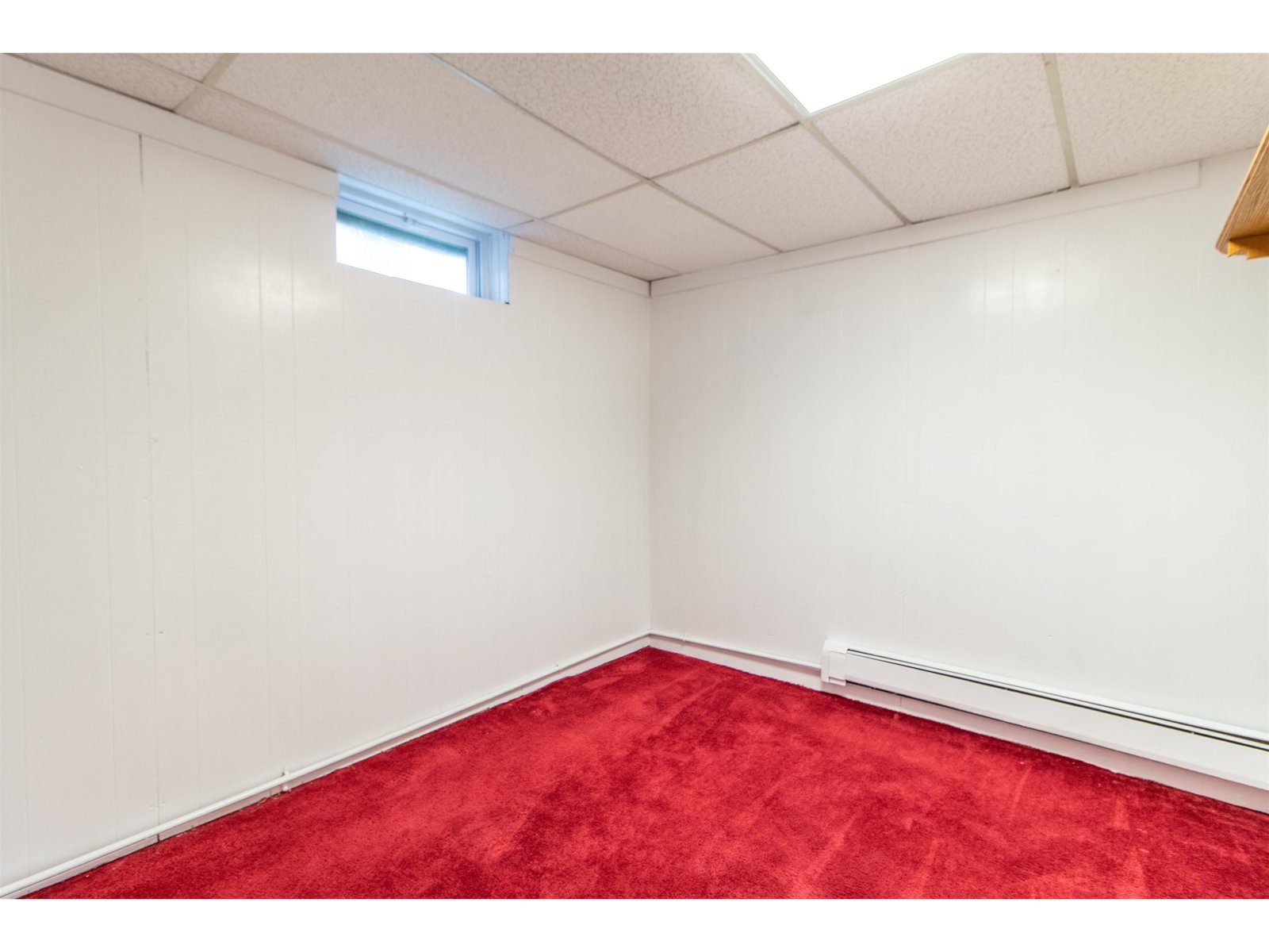 Basement Bedroom/Office