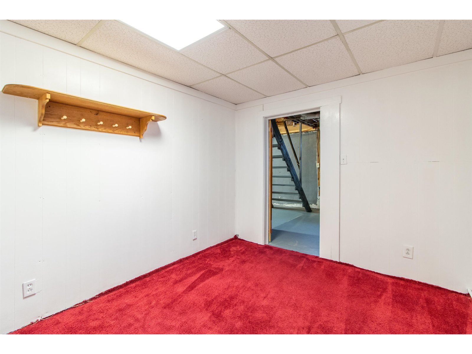 Basement Bedroom/Office