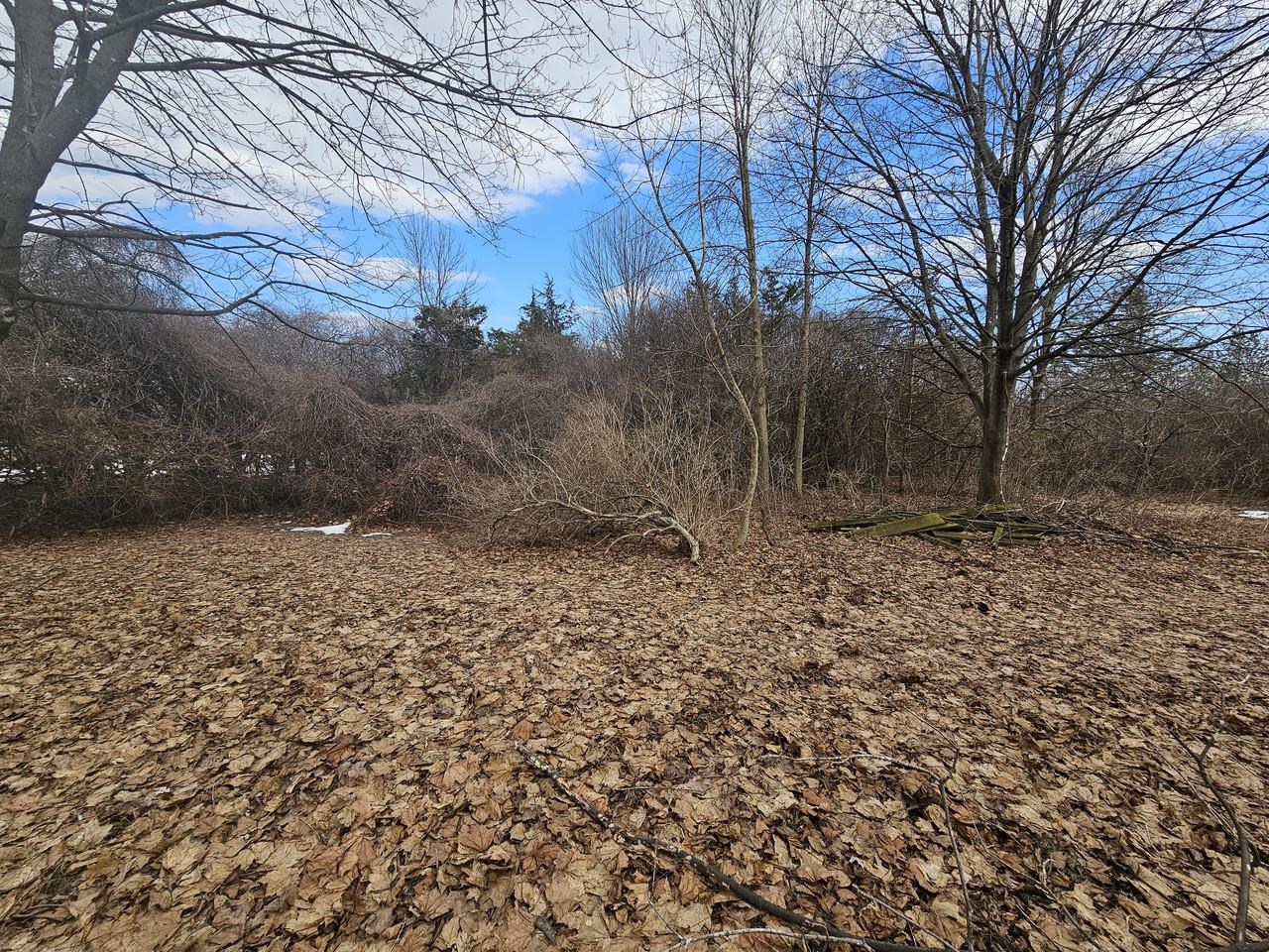 3597 Lake Road