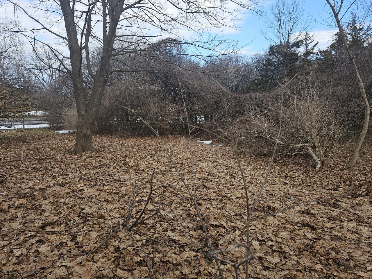3597 Lake Road