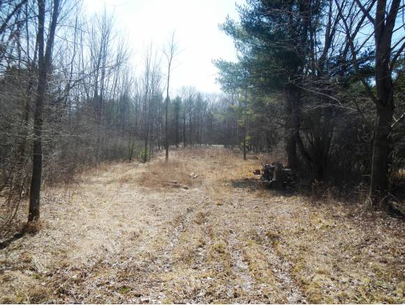 36 Curve Hill Road