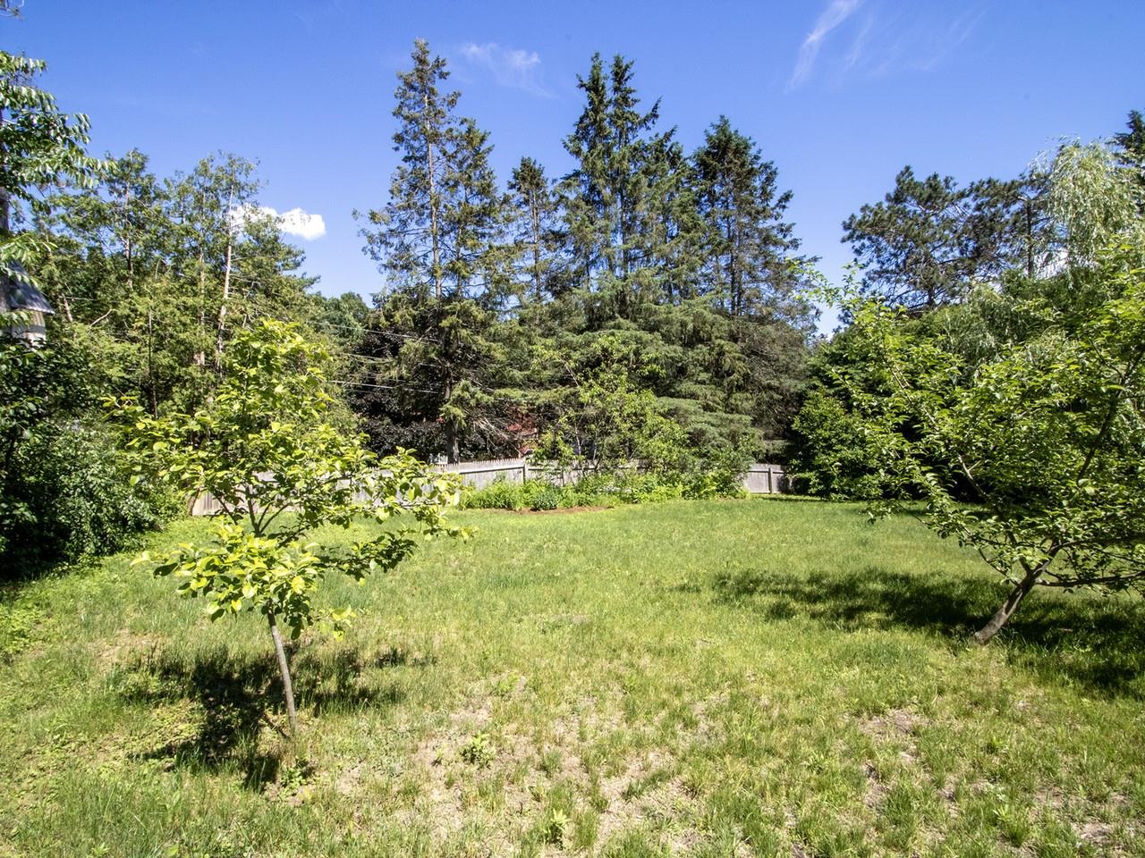 Fruit trees