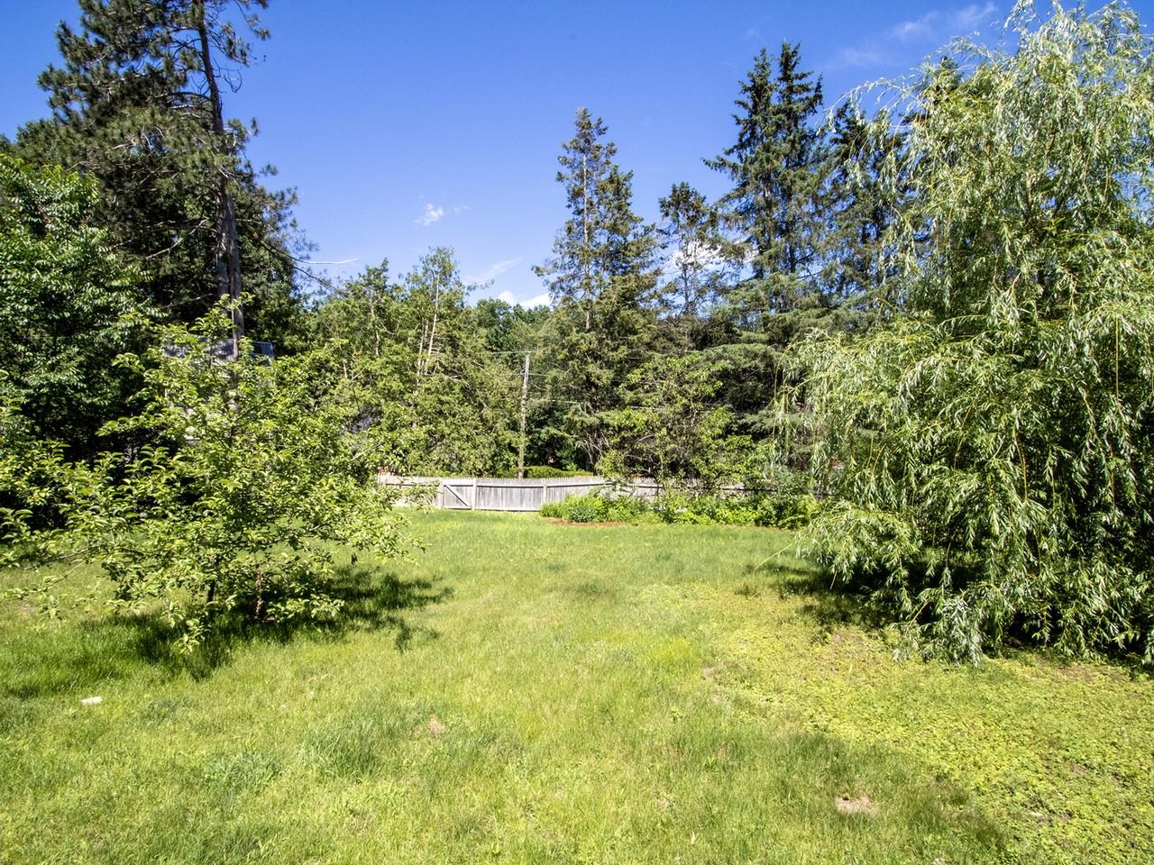 Medicinal garden at back
