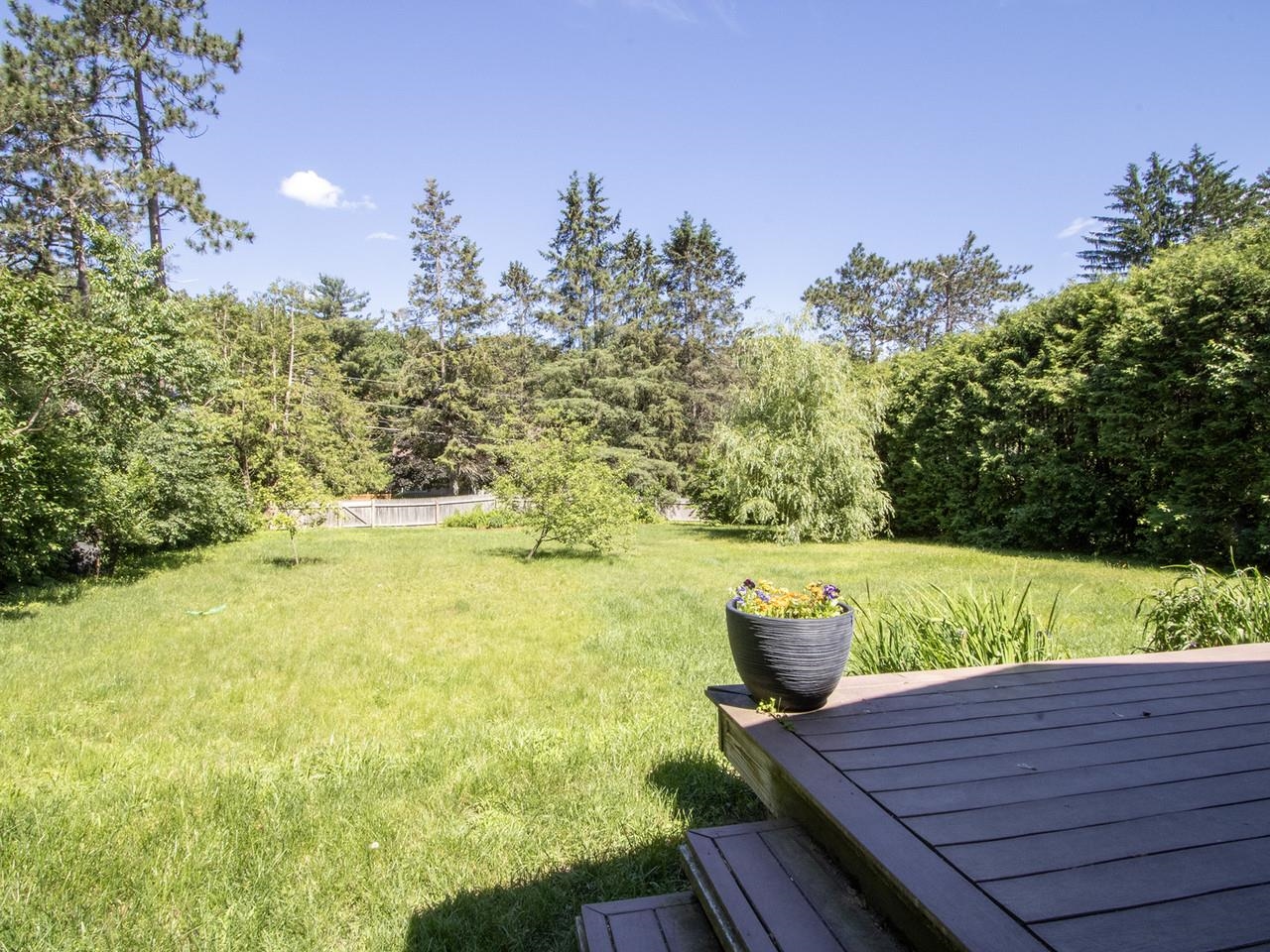 Deck overlooking yard
