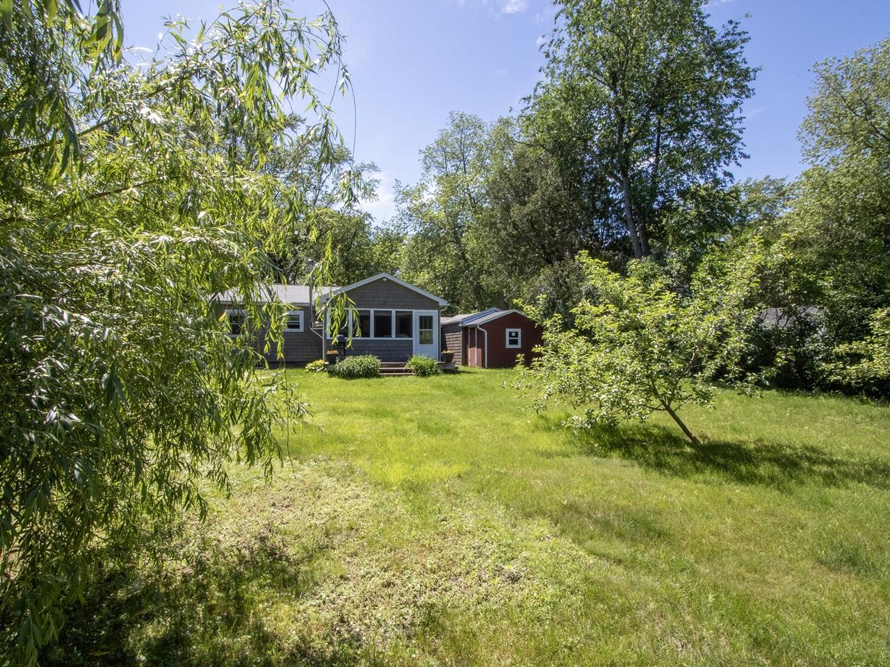 Established fruit trees