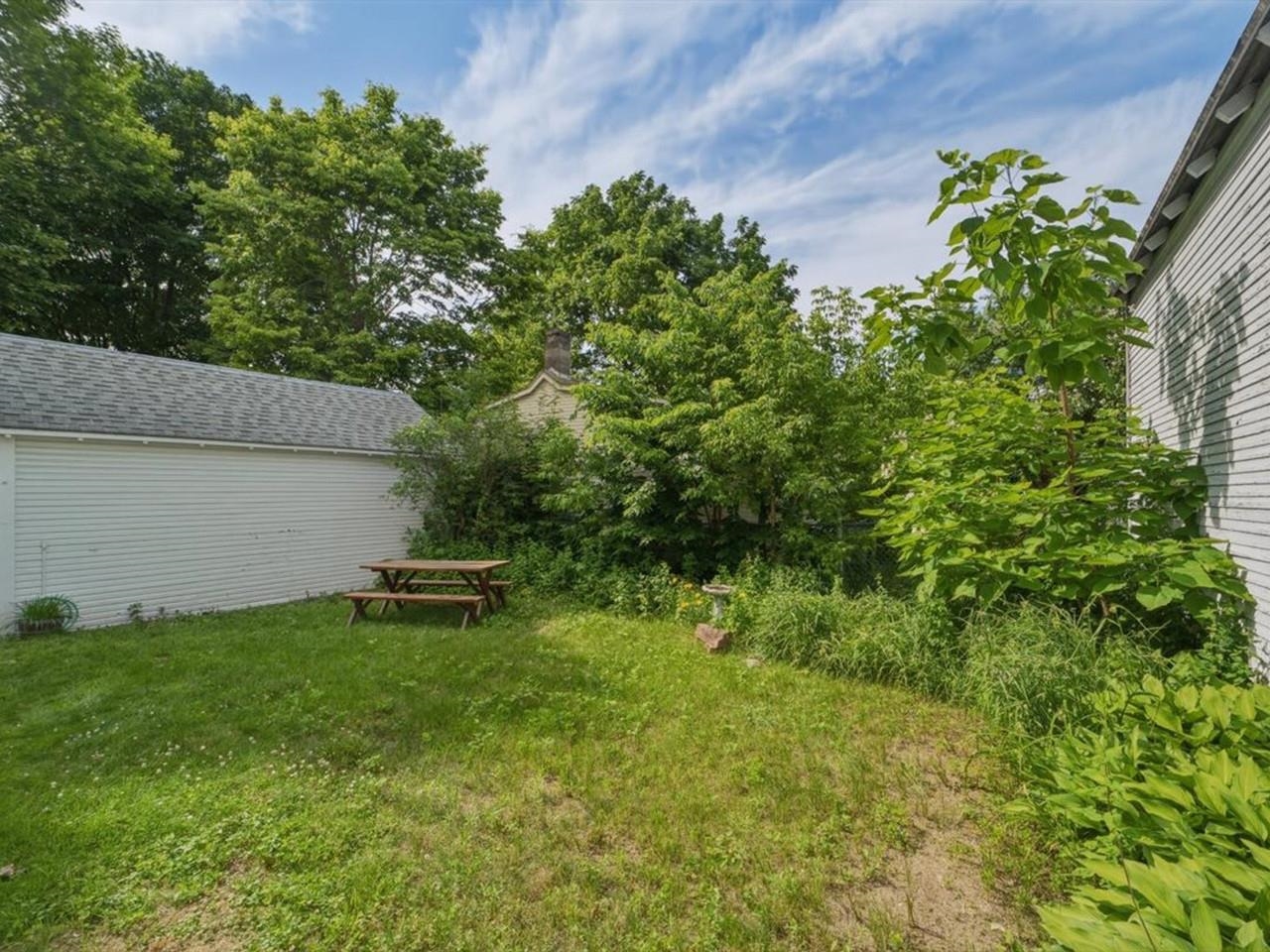 Sunny backyard