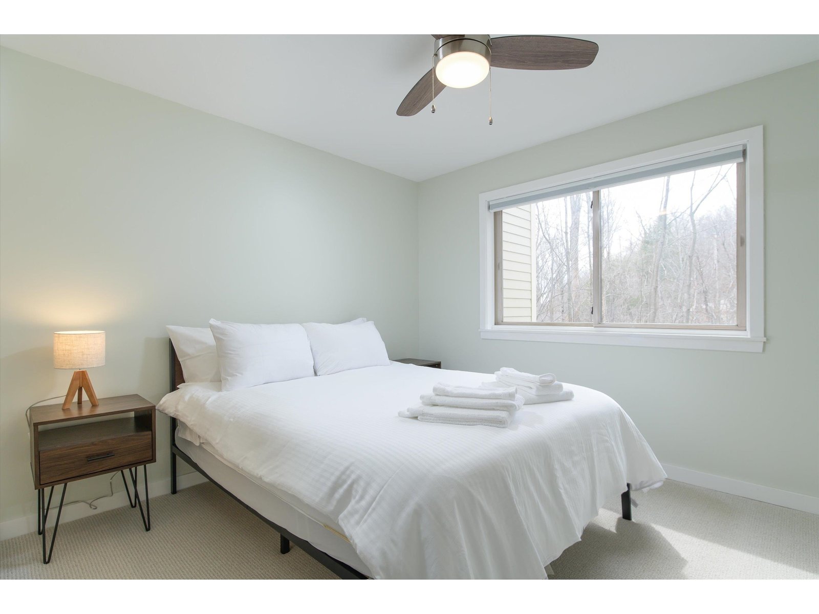 Lower Level Bedroom