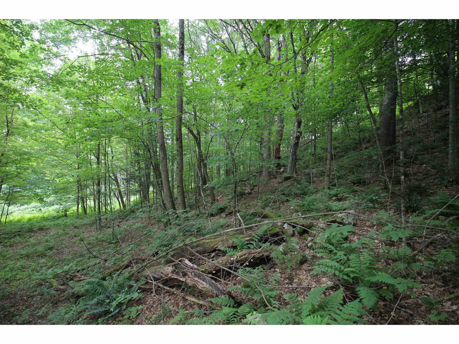 360 Liberty Hill Road