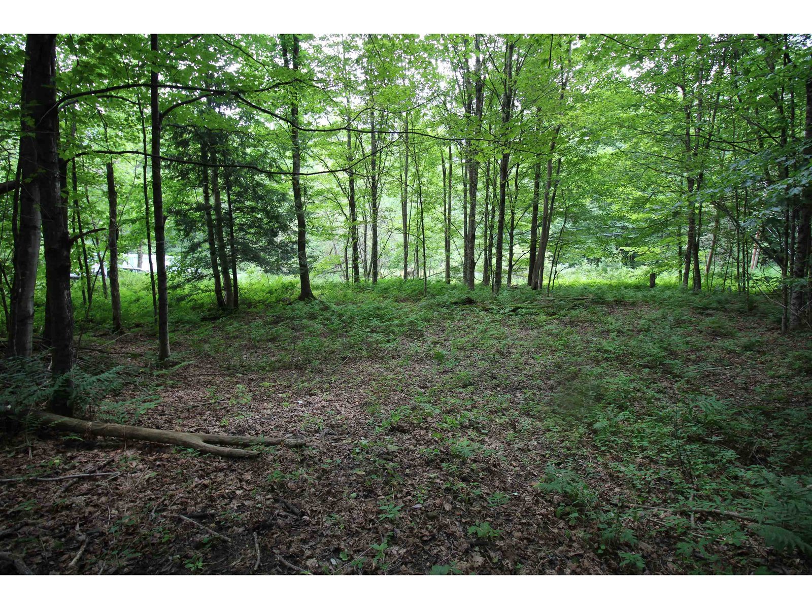360 Liberty Hill Road