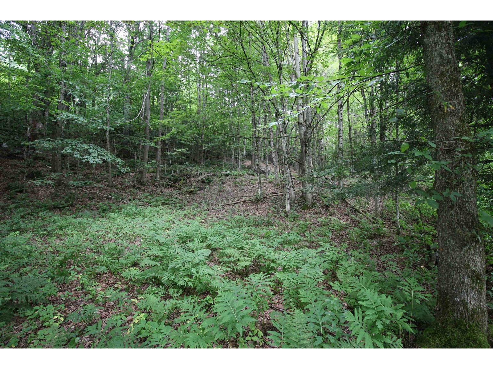 360 Liberty Hill Road