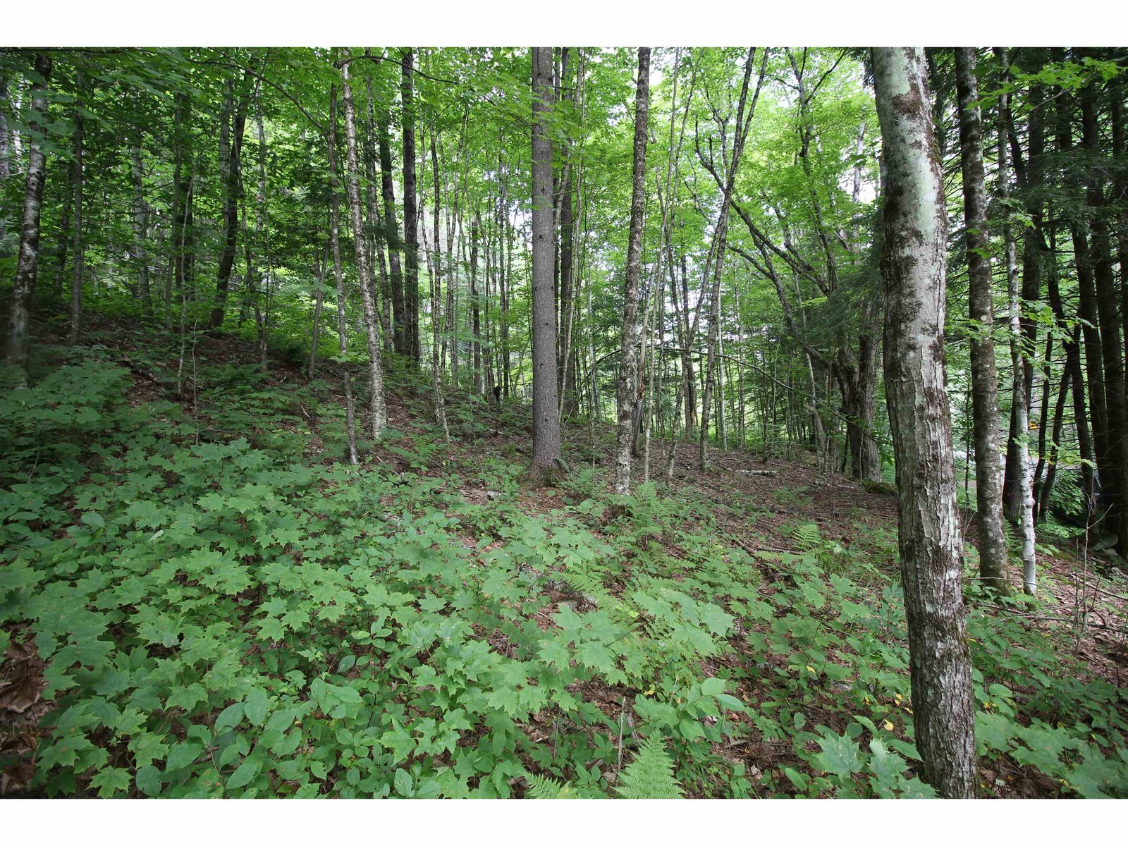 360 Liberty Hill Road