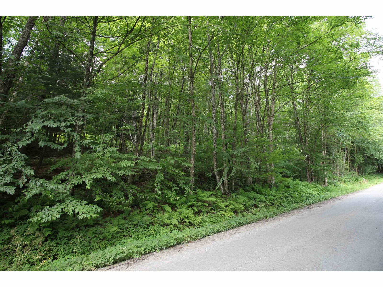 360 Liberty Hill Road