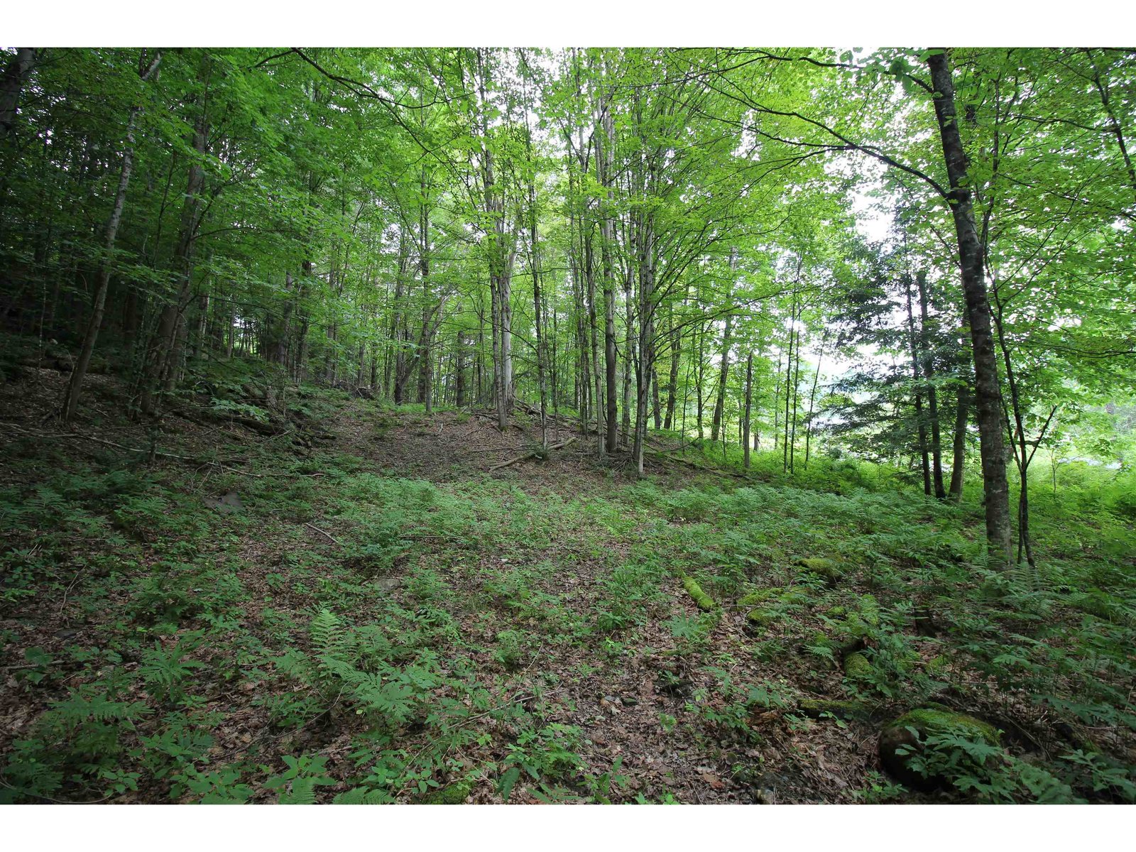 360 Liberty Hill Road