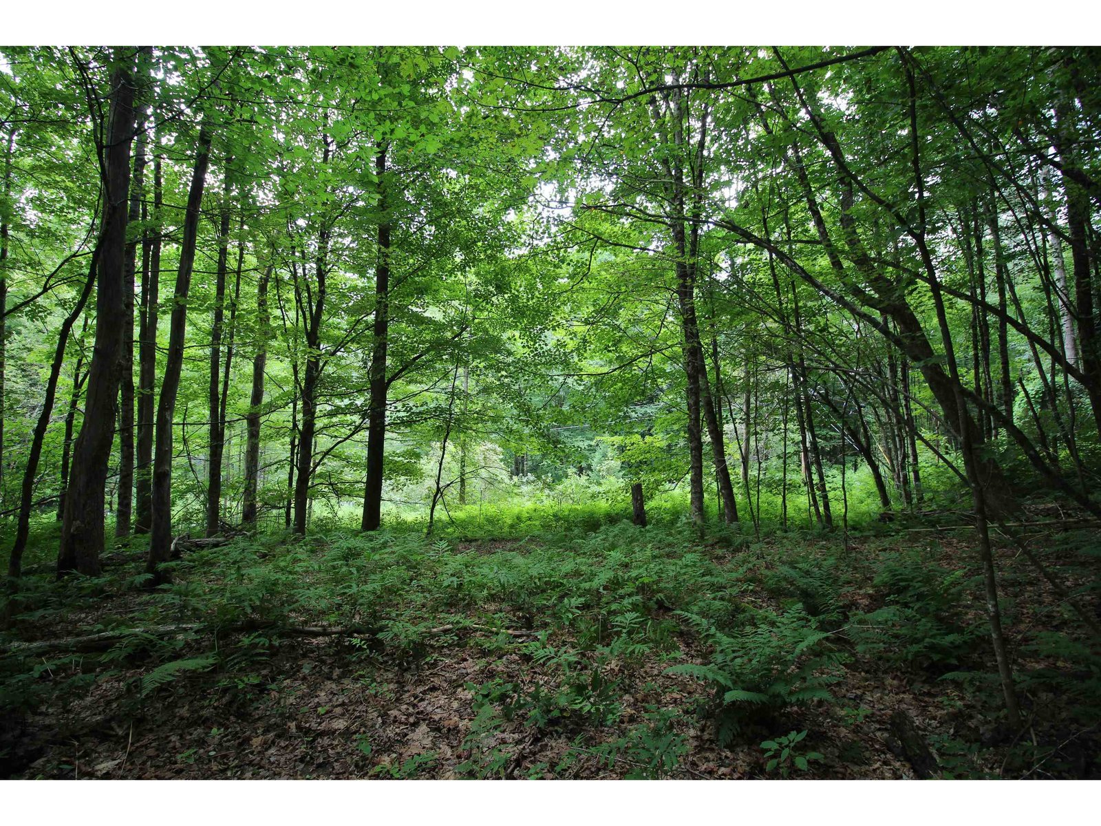 360 Liberty Hill Road