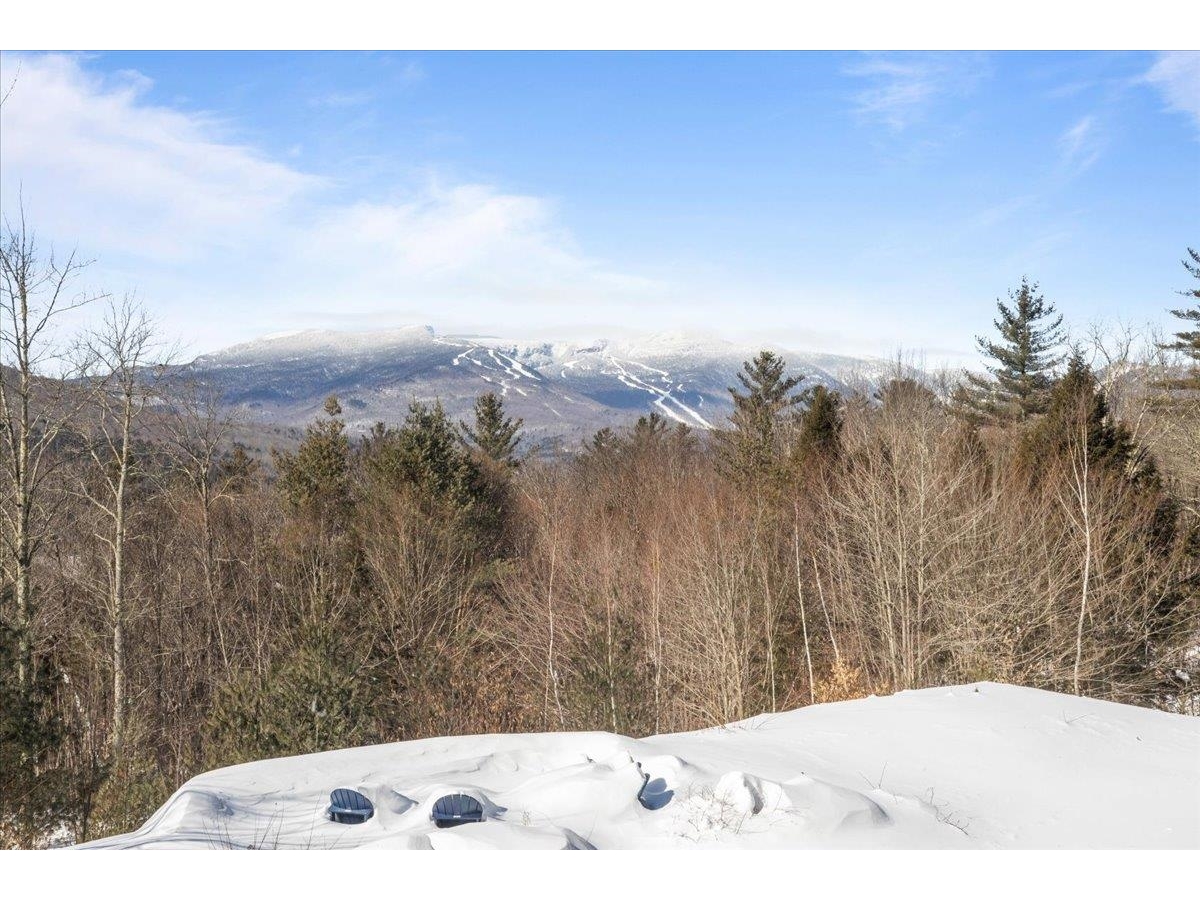 361 Grey Birch Road