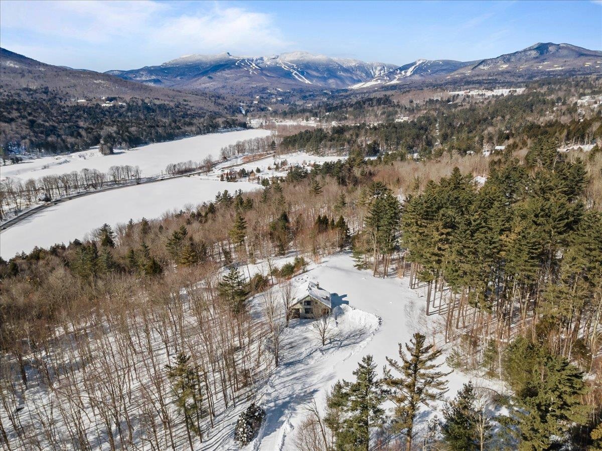 361 Grey Birch Road