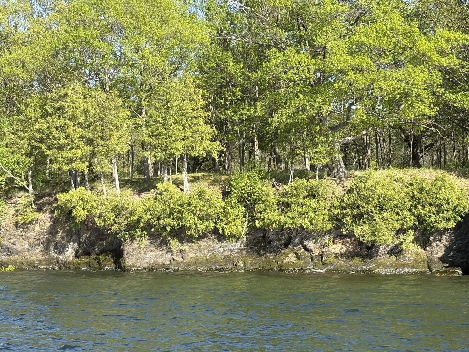 3625 Butler Island West