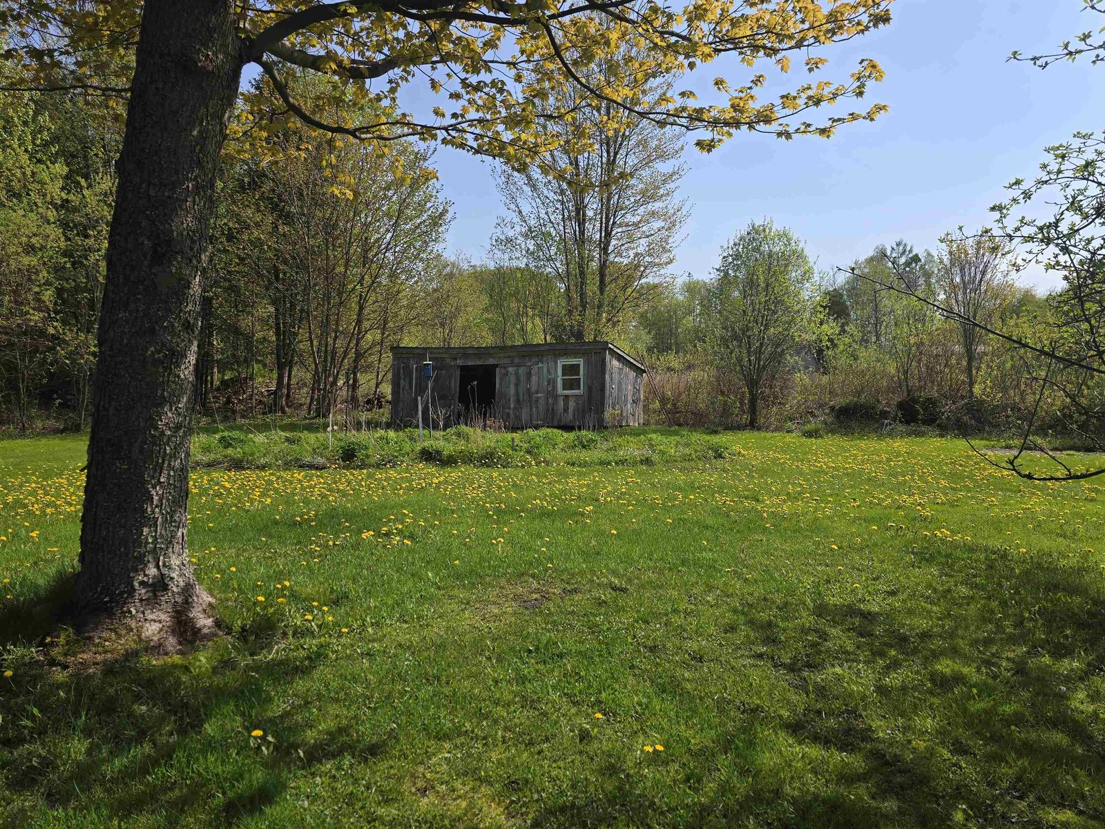 369 Bushey Hill Road