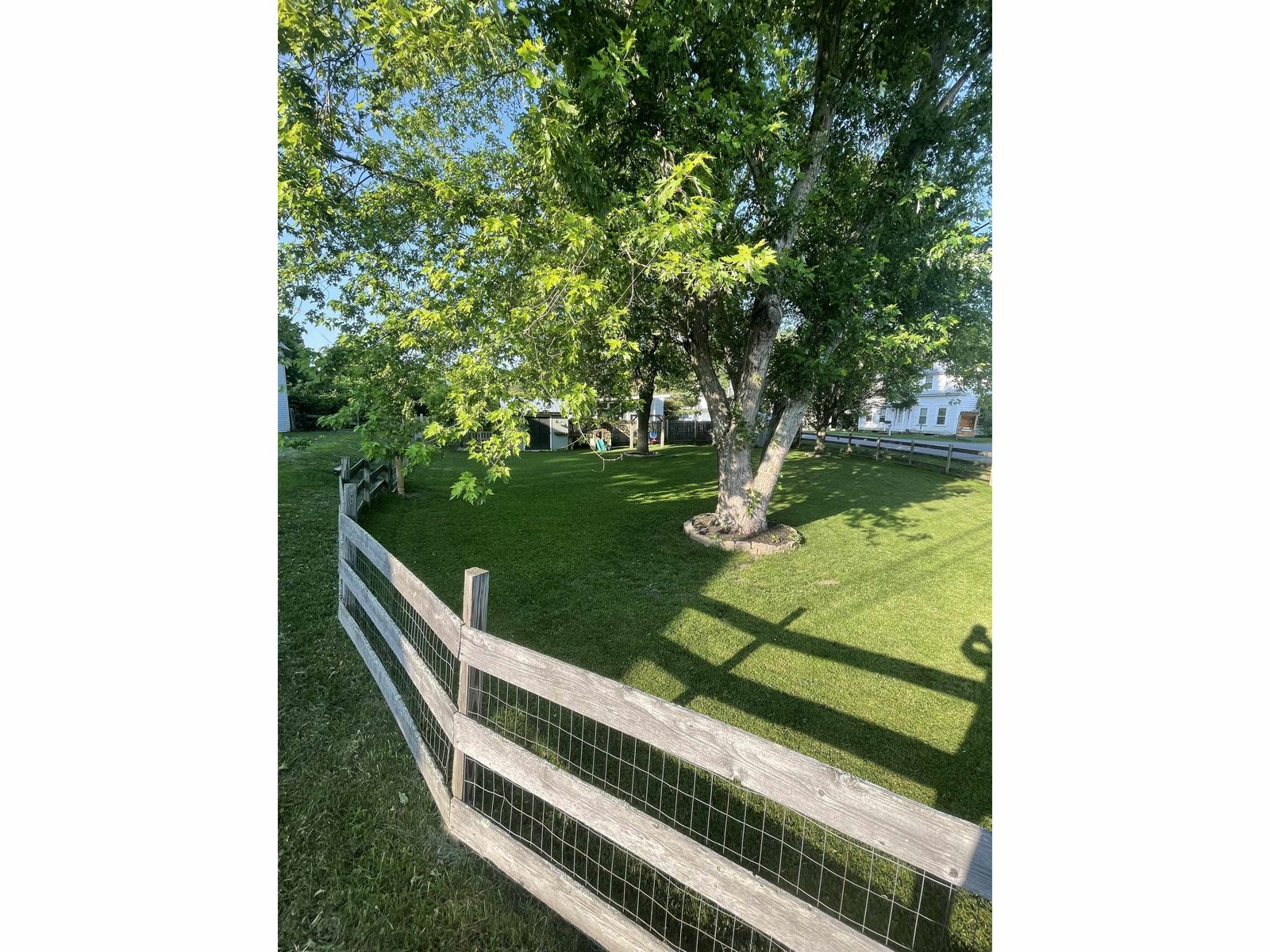 Fenced in Yard