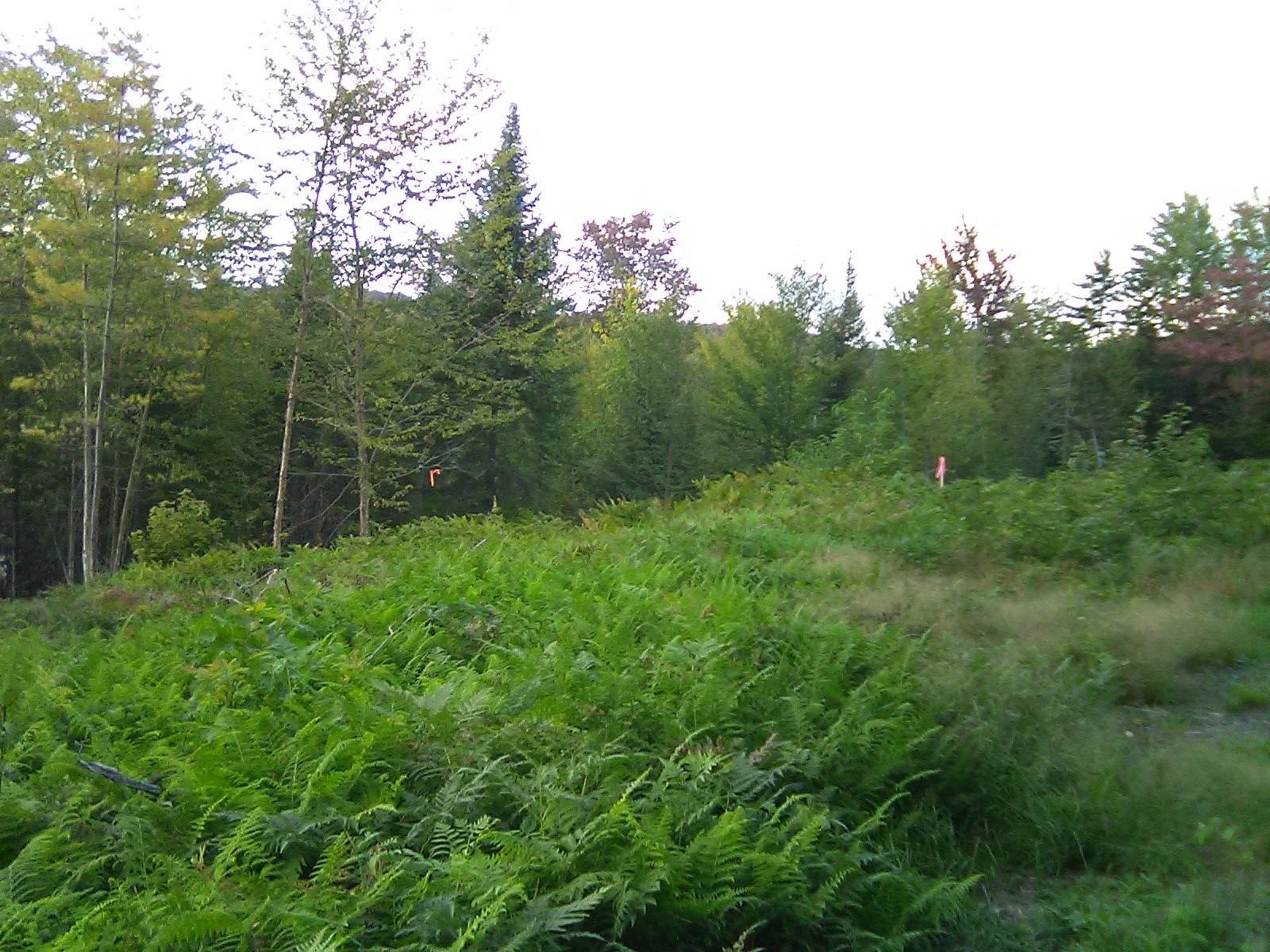 37 Sugar Ridge Lane