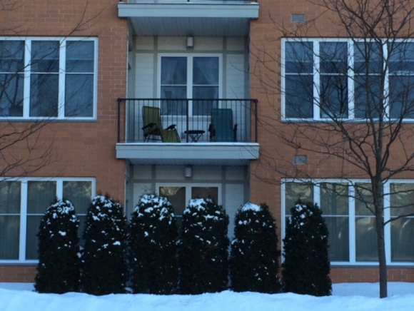370 Farrell Street, Unit 212