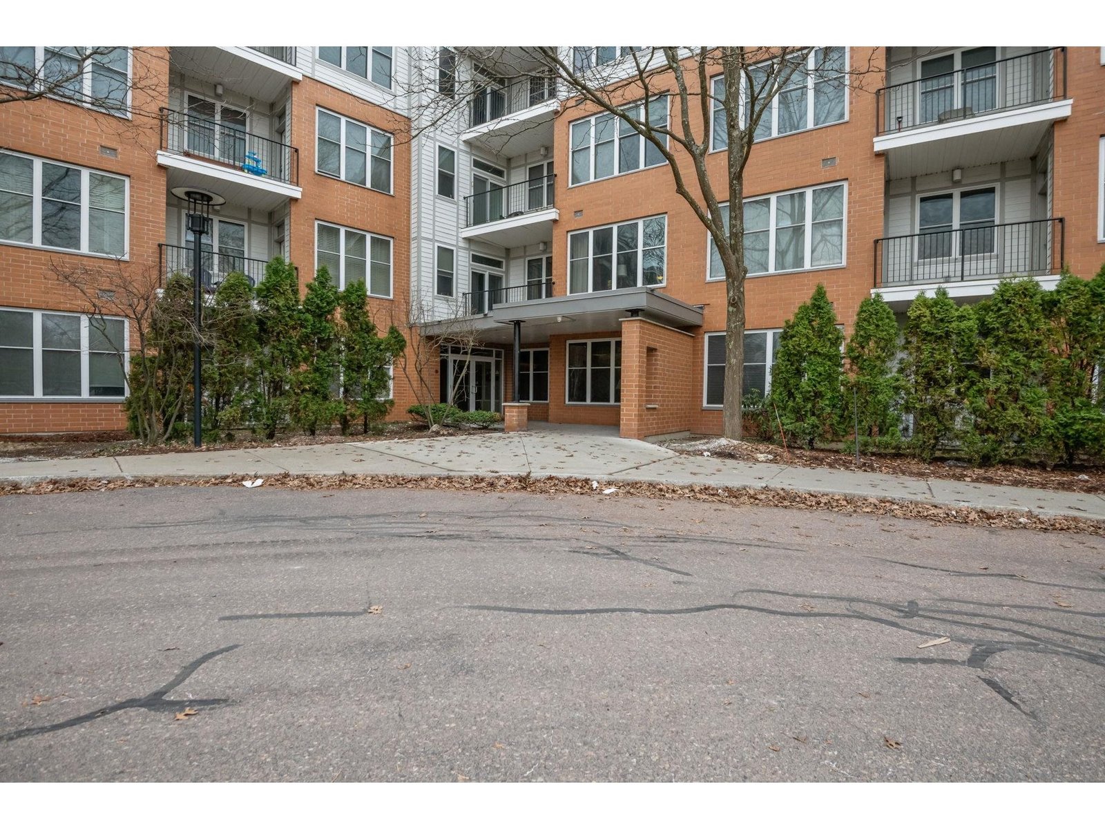 370 Farrell Street, Unit 303