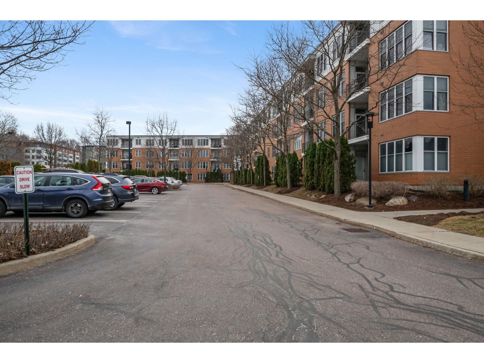 370 Farrell Street, Unit 303