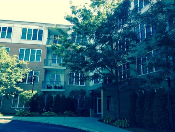 370 Farrell Street, Unit 308