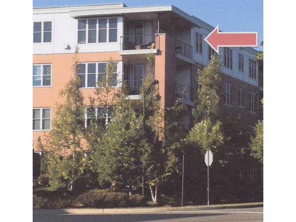 370 Farrell Street, Unit 409