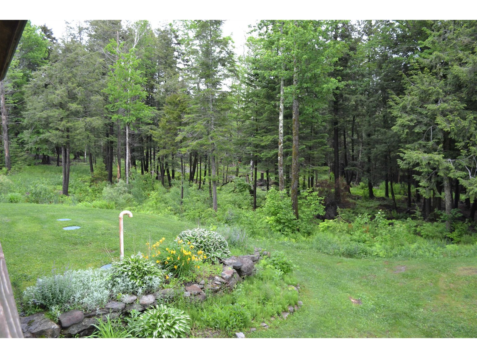 373 Wilderness Road