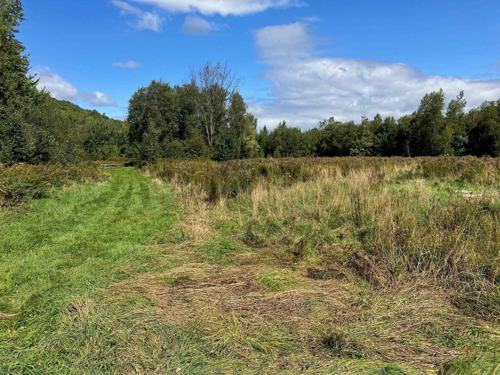 Large Meadow