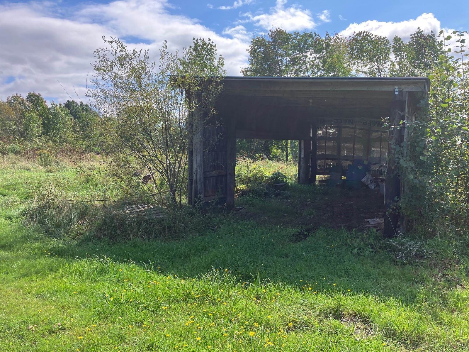 Storage Shed/Car Port