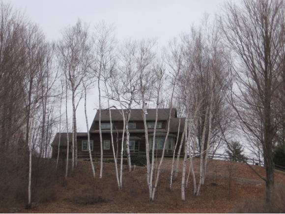 375 Meadowside Drive