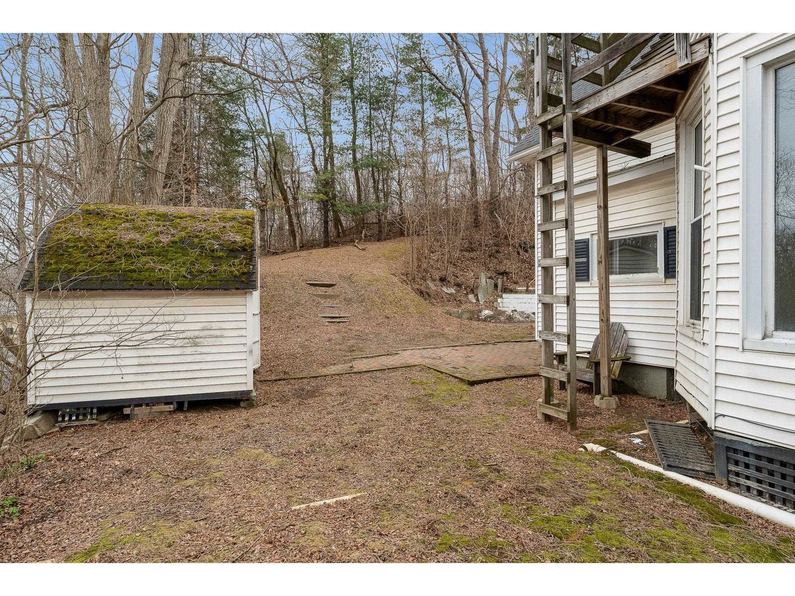 Side/Back yard with shed