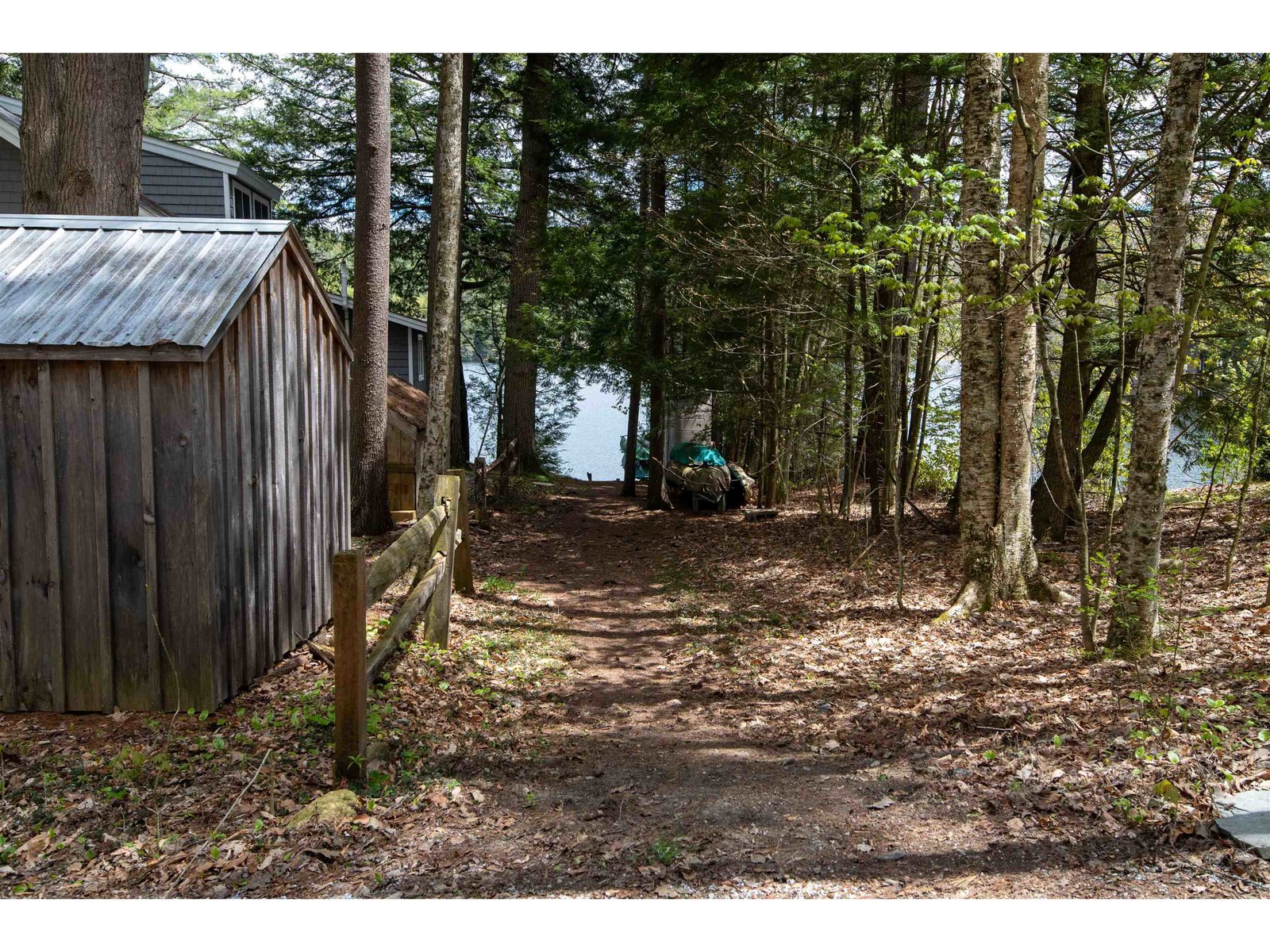 Access Path to the Lake