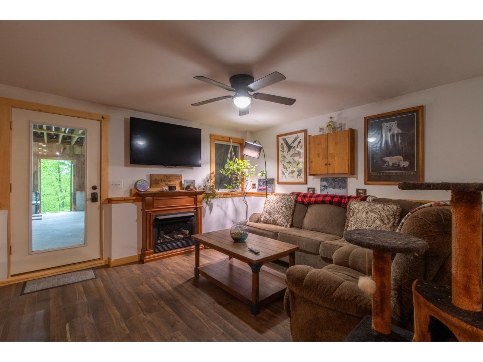 Living room in walkout basement