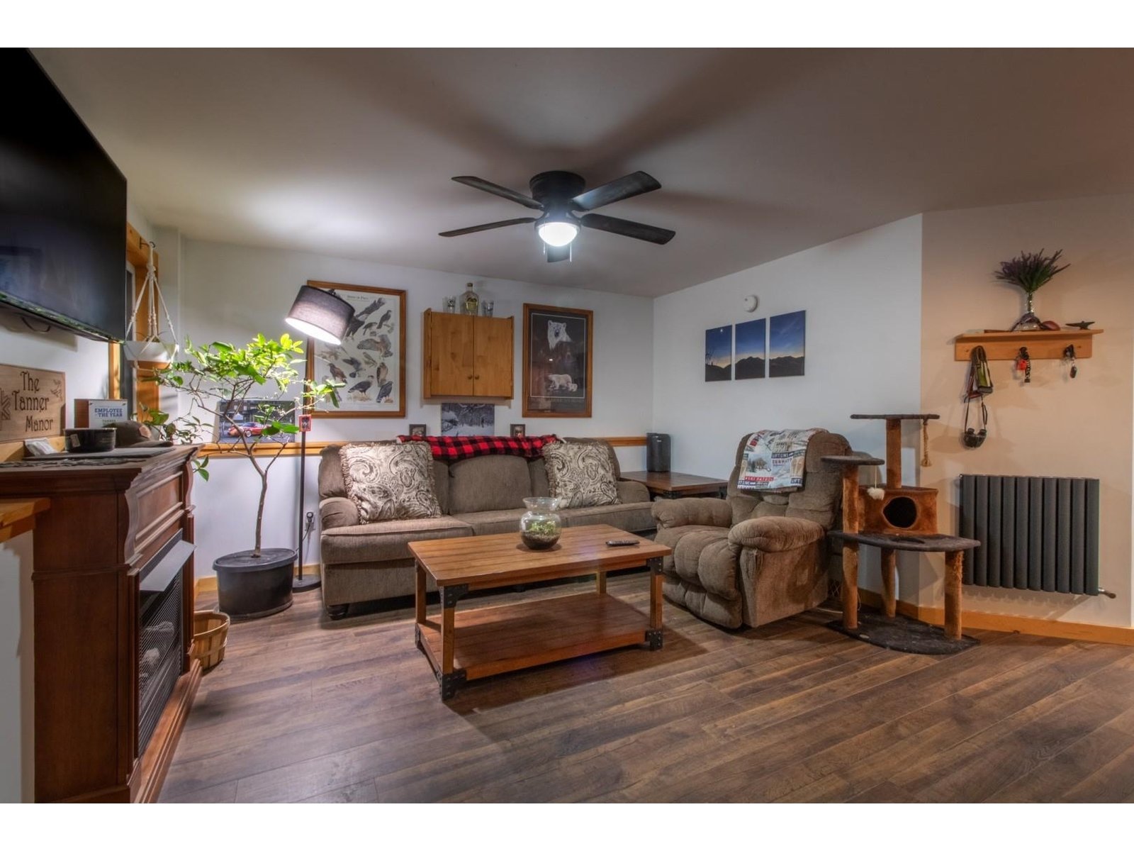Living room in walkout basement