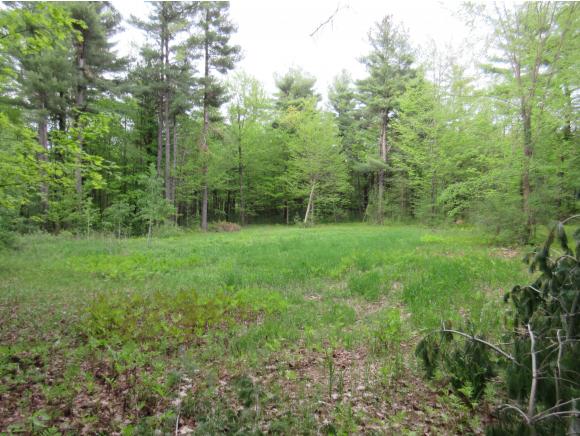 380 Dolliver Drive