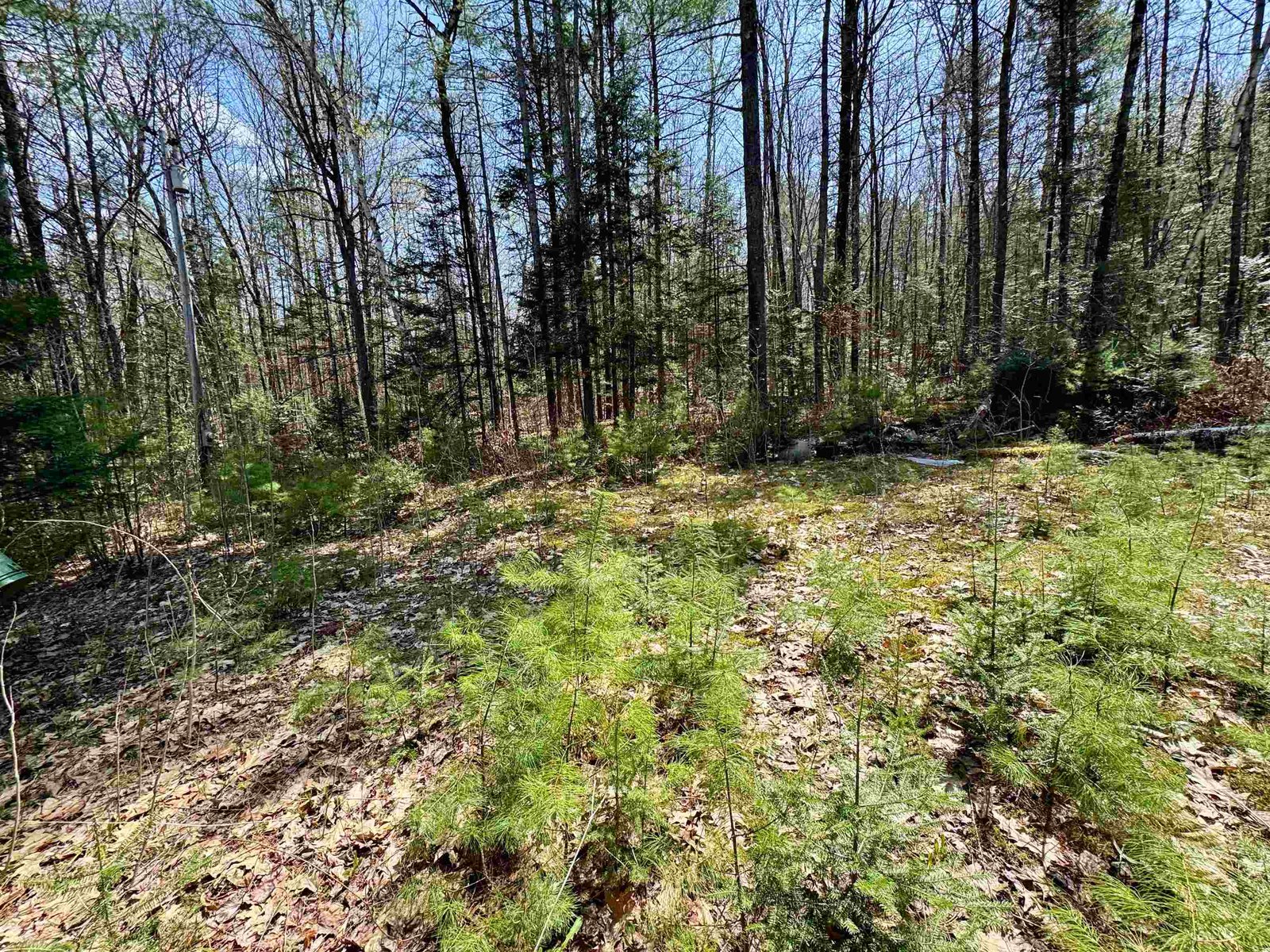 3826 Leighton Hill Road, Newbury