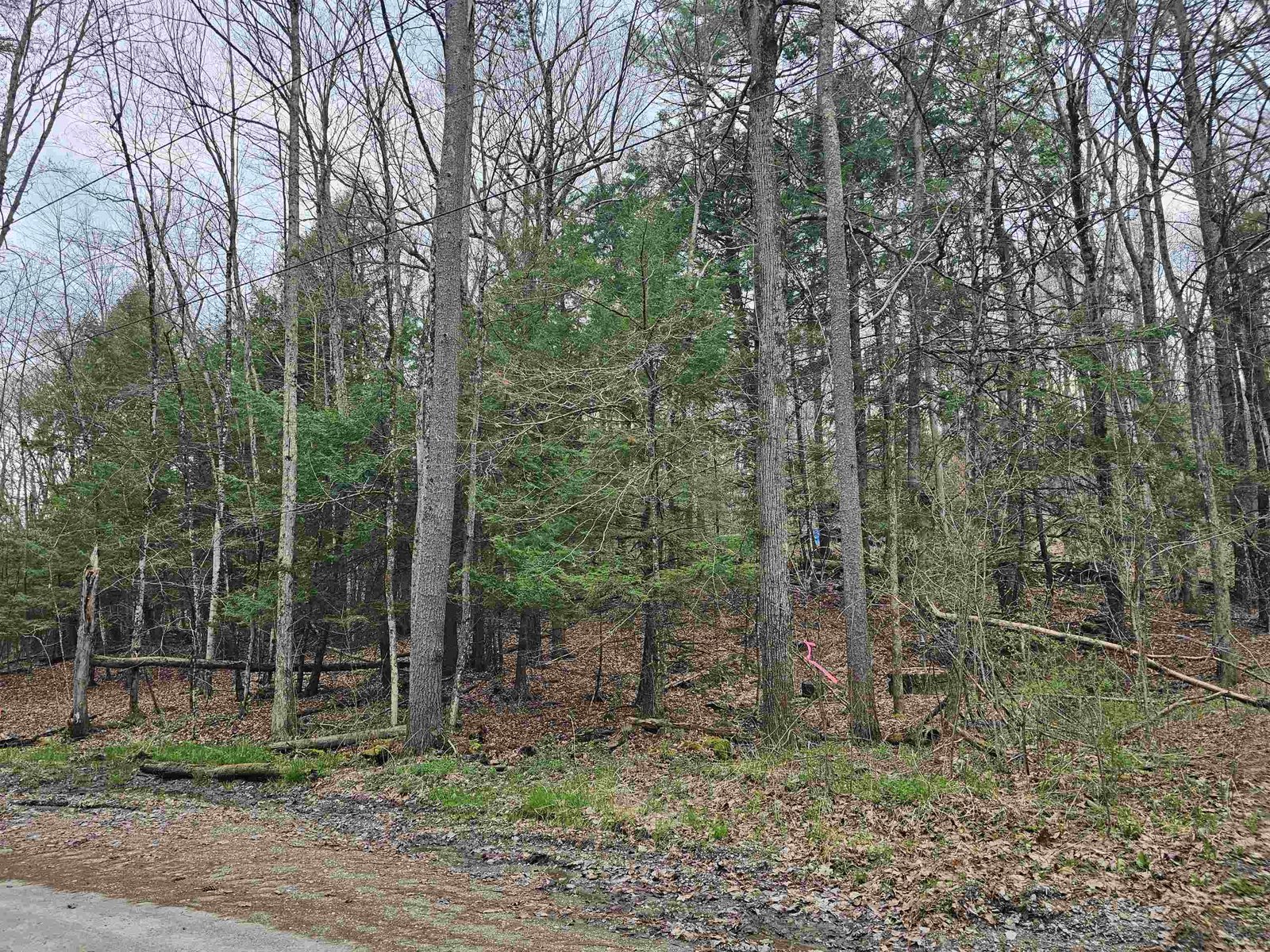 387 Weisenbach Road