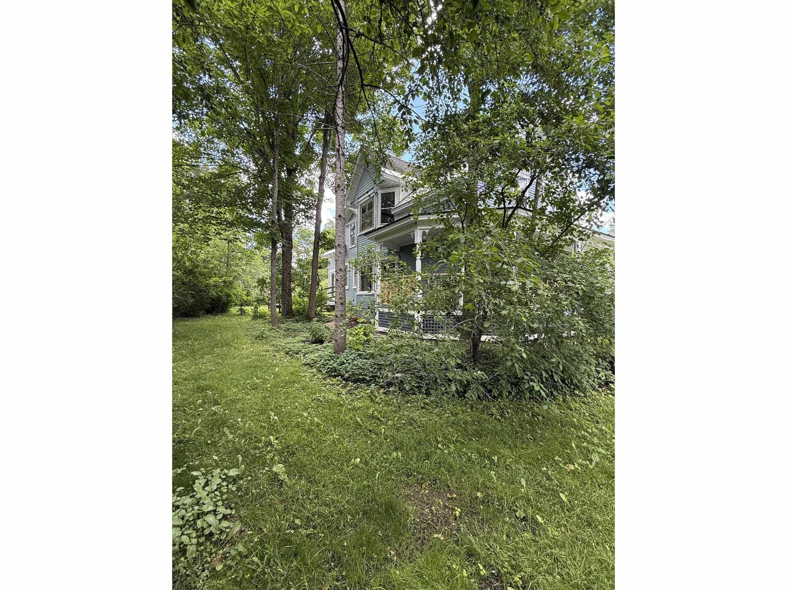 enchanted side yard