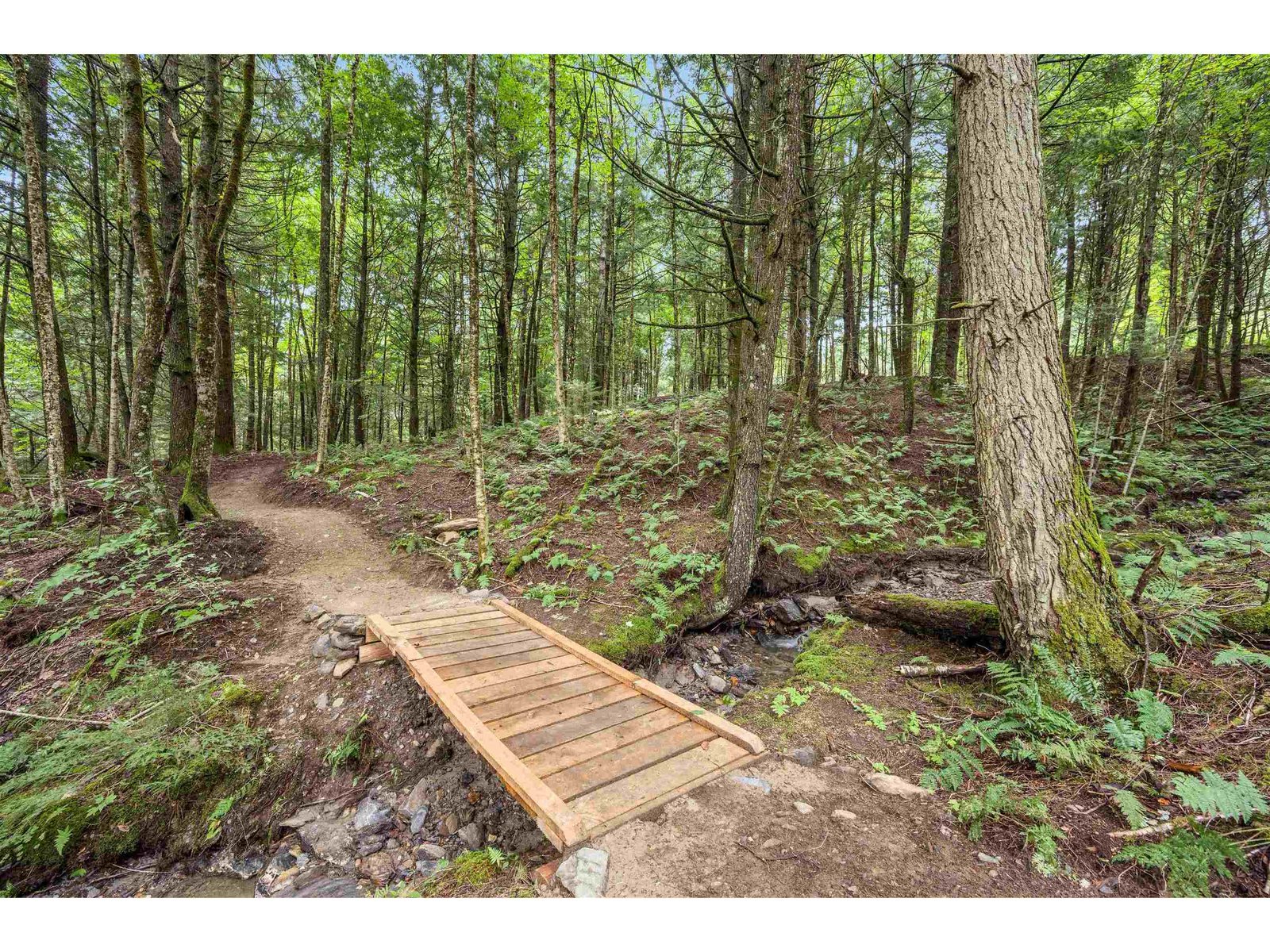 Community Walking Trail