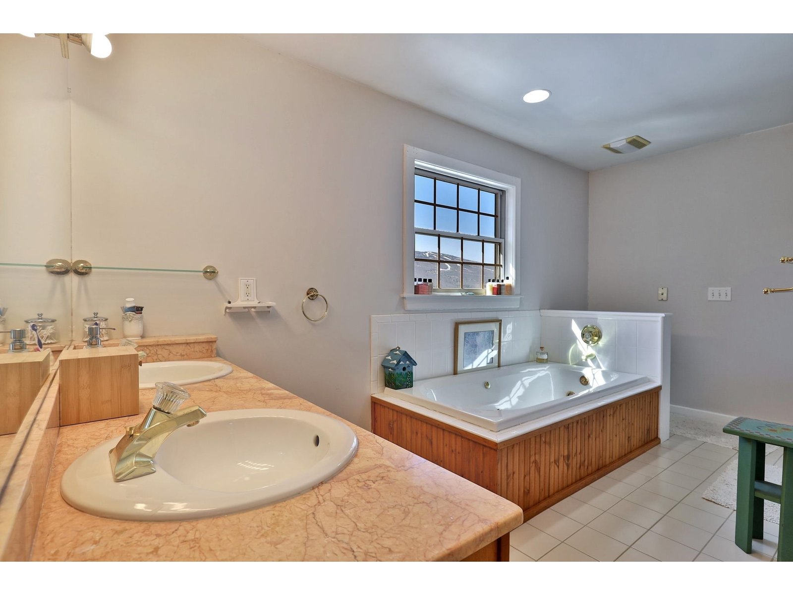 Primary bath with views