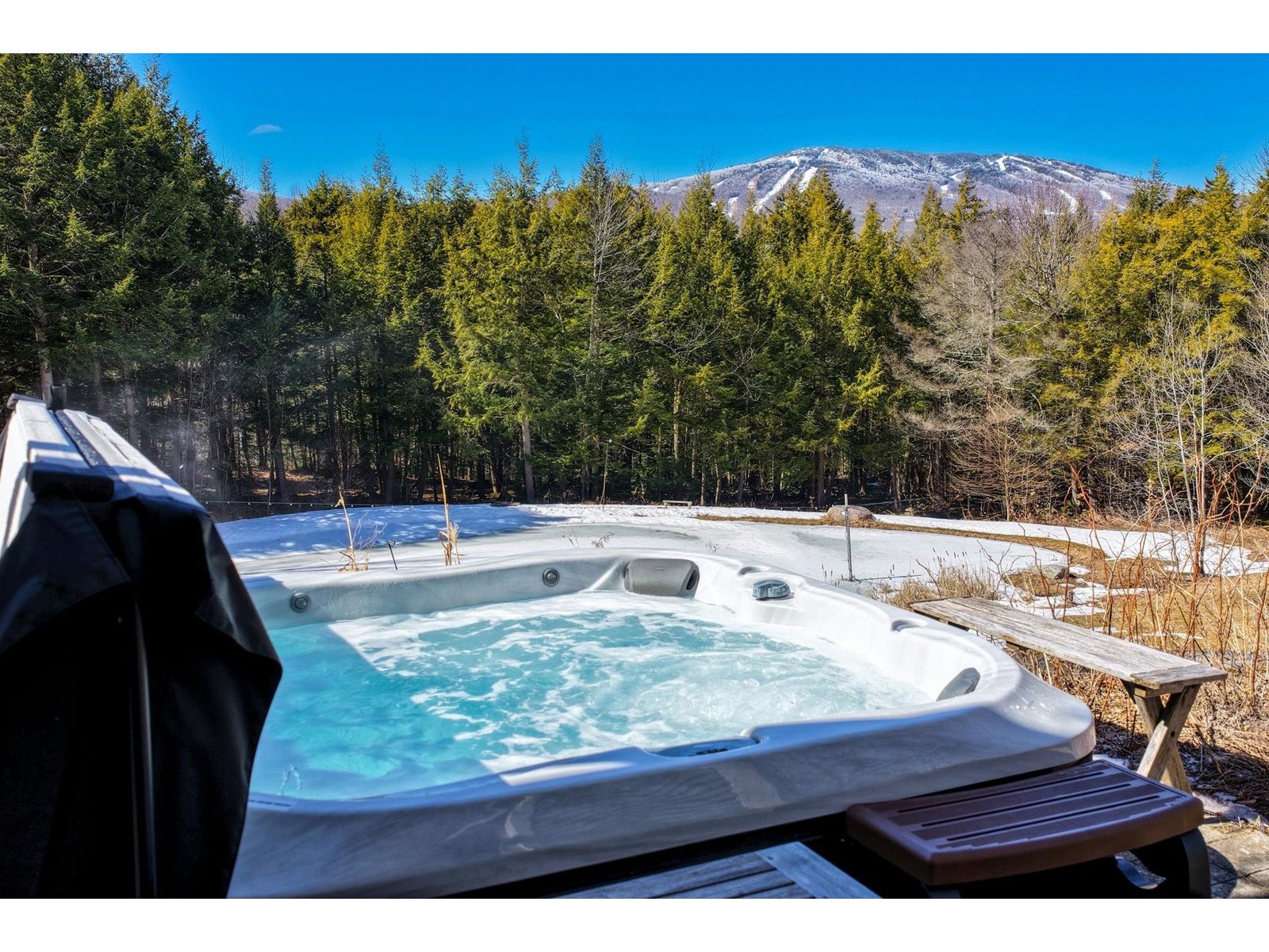 Patio with hot tub overlooking pond and mountain