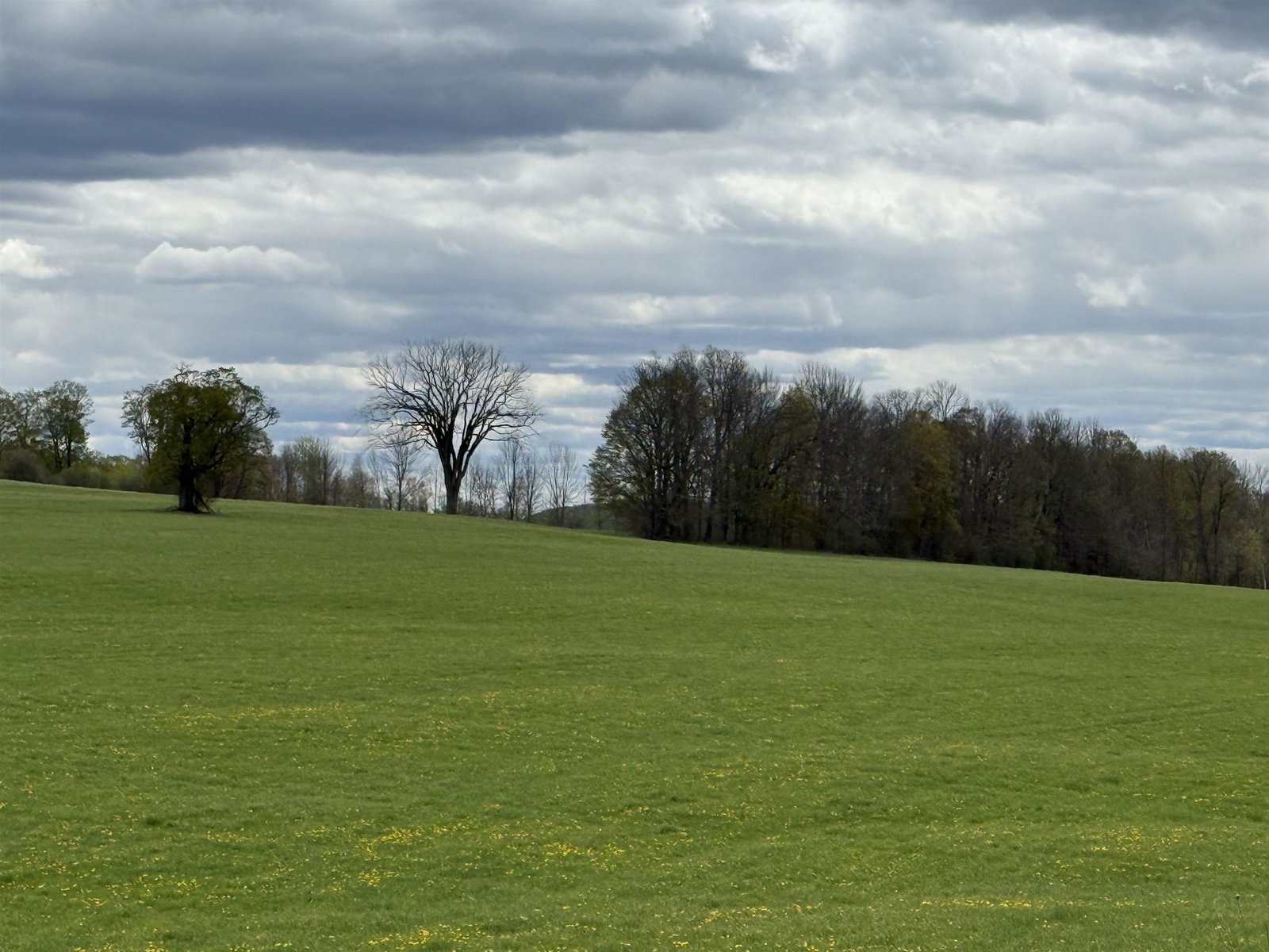 3901 VT Route 66