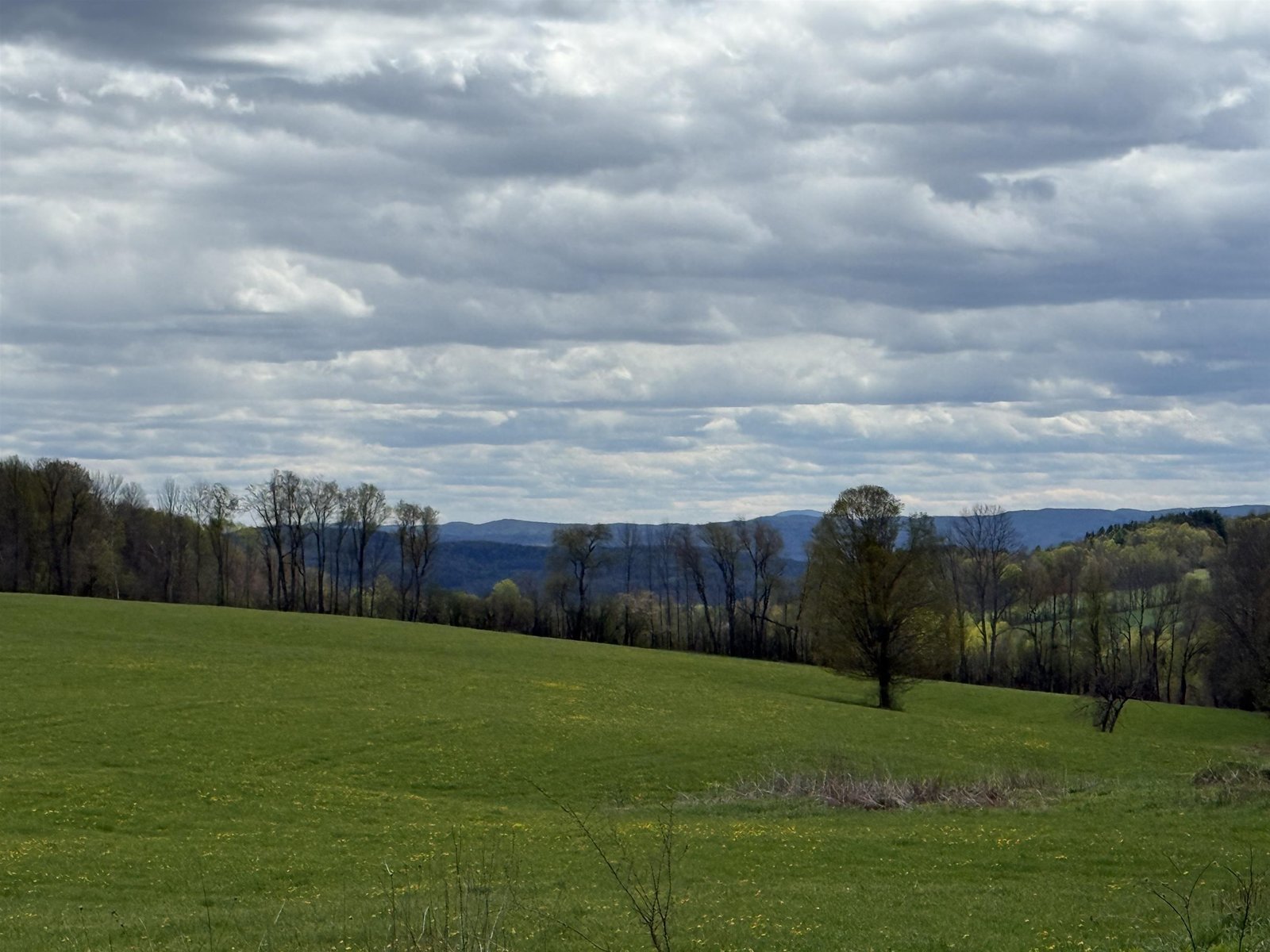 3901 VT Route 66
