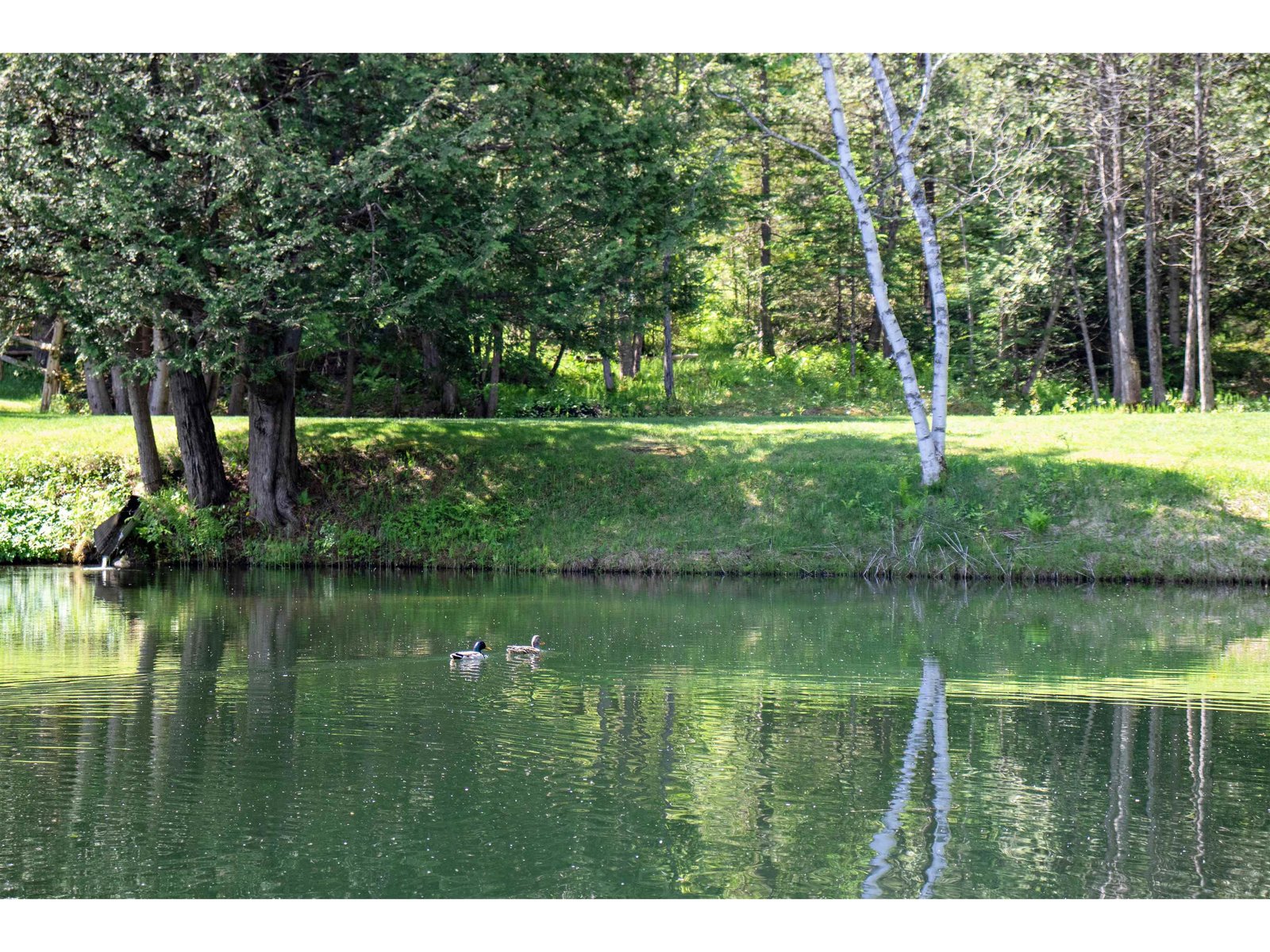 3911 Thaddeus Stevens Road