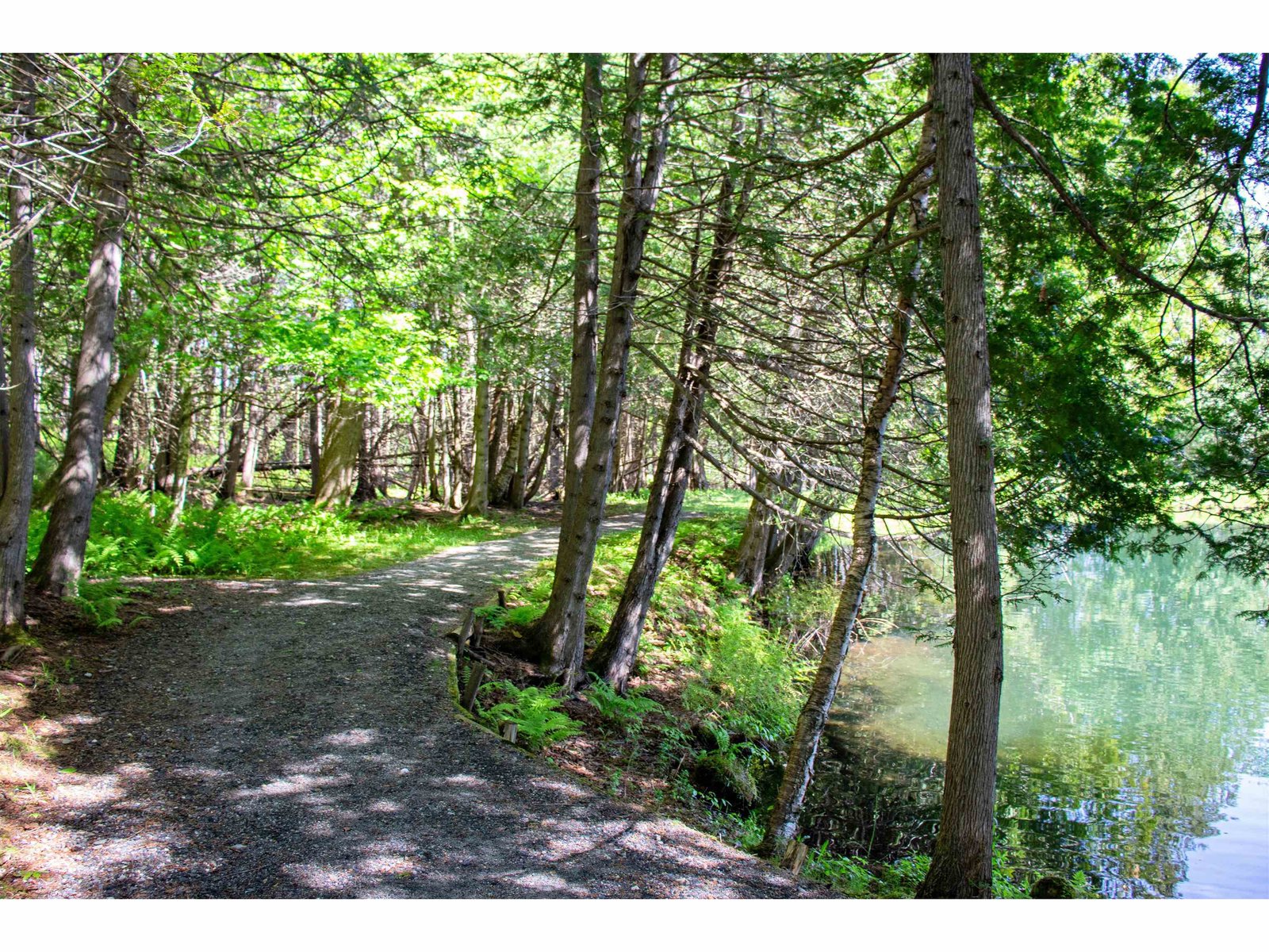 3911 Thaddeus Stevens Road