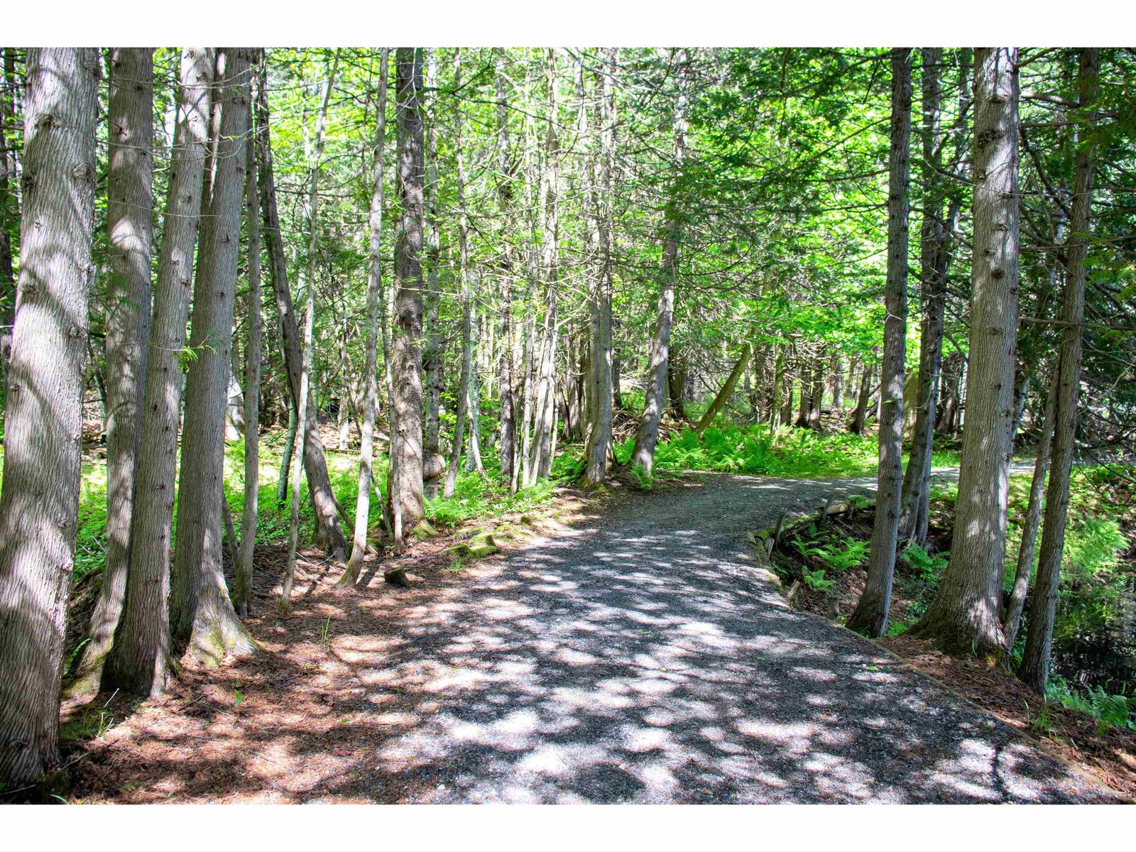 3911 Thaddeus Stevens Road